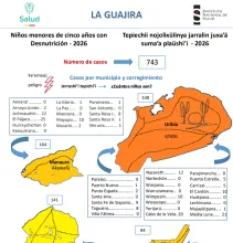 Pieza morbilidad población Wayúu
