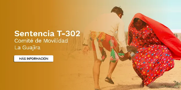 Avanzamos por la Movilidad en La Guajira – Sentencia T-302 de 2017