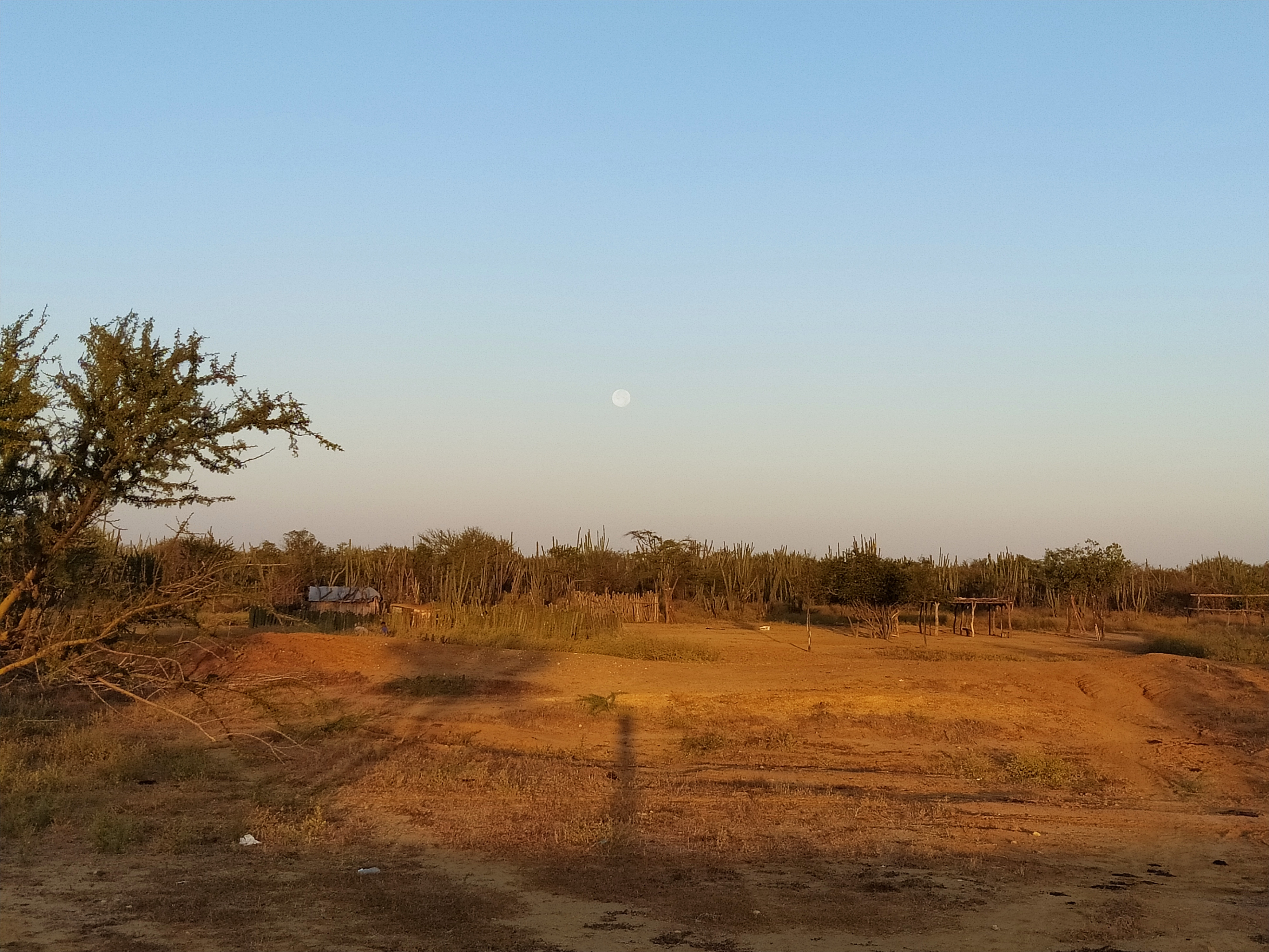 Imagen representativa del sistema de información