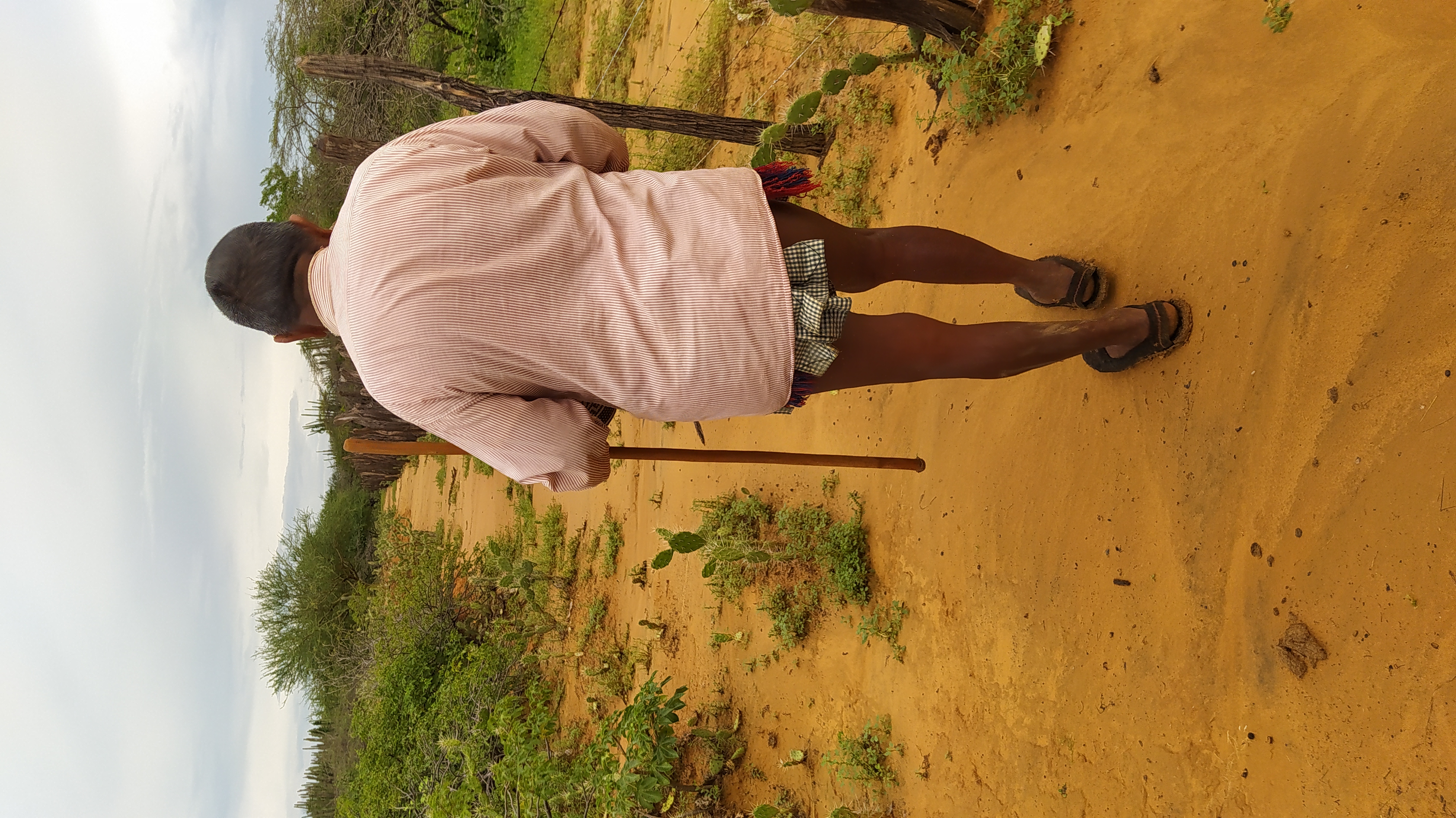 Imagen representativa del sistema de información